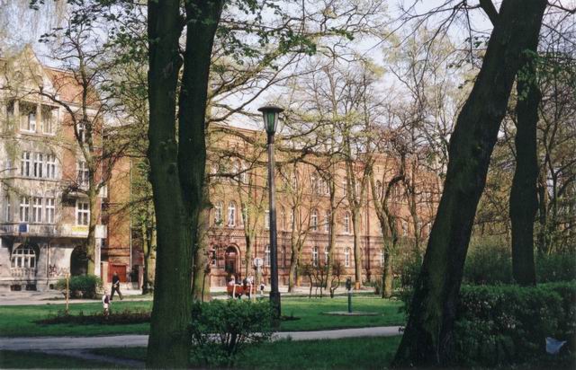 E�k - Park miejski