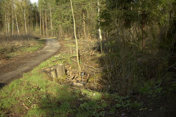 E�k - Pas przedwojennego lotniska