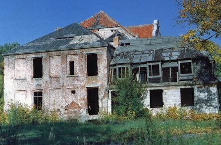 Pałac w Januszewie stan obecny